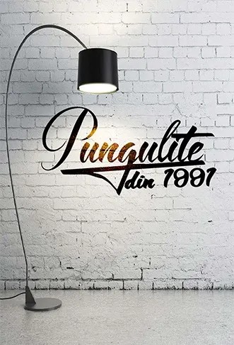 pungulite-de-cadou-din-1991.webp